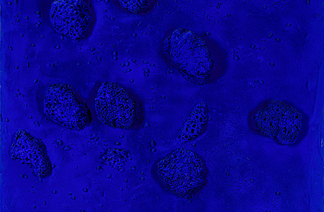 Yves : Sponge Reliefs　イヴ・クライン Yves Klein Sponge Relief Expected To Nab $10 Million At Auction